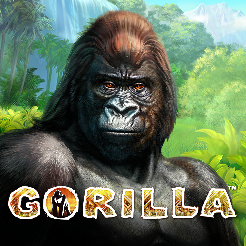 Gorilla