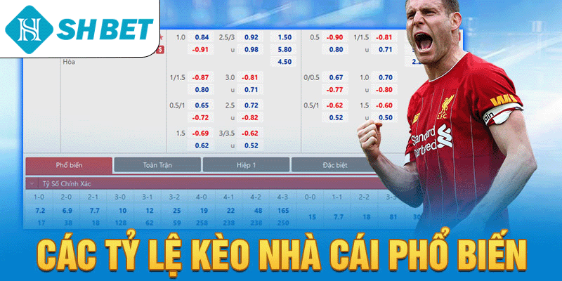 Các tỷ lệ kèo nhà cái phổ biến