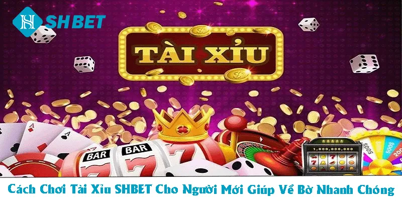 Cách chơi tài xỉu thumb