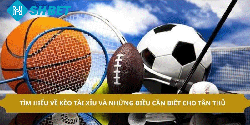 ảnh đại diện kèo tài xỉu