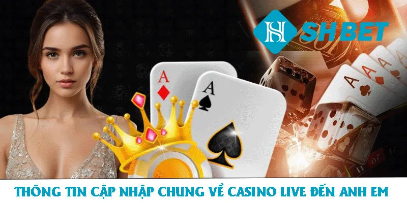 Thông tin cập nhật chung về Casino Live đến anh em